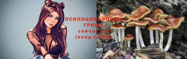 Альфа ПВП Армянск