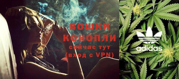 гидра Аркадак