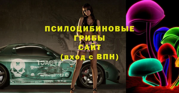 Альфа ПВП Армянск