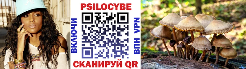 Галлюциногенные грибы MAGIC MUSHROOMS  дарнет шоп  Злынка 